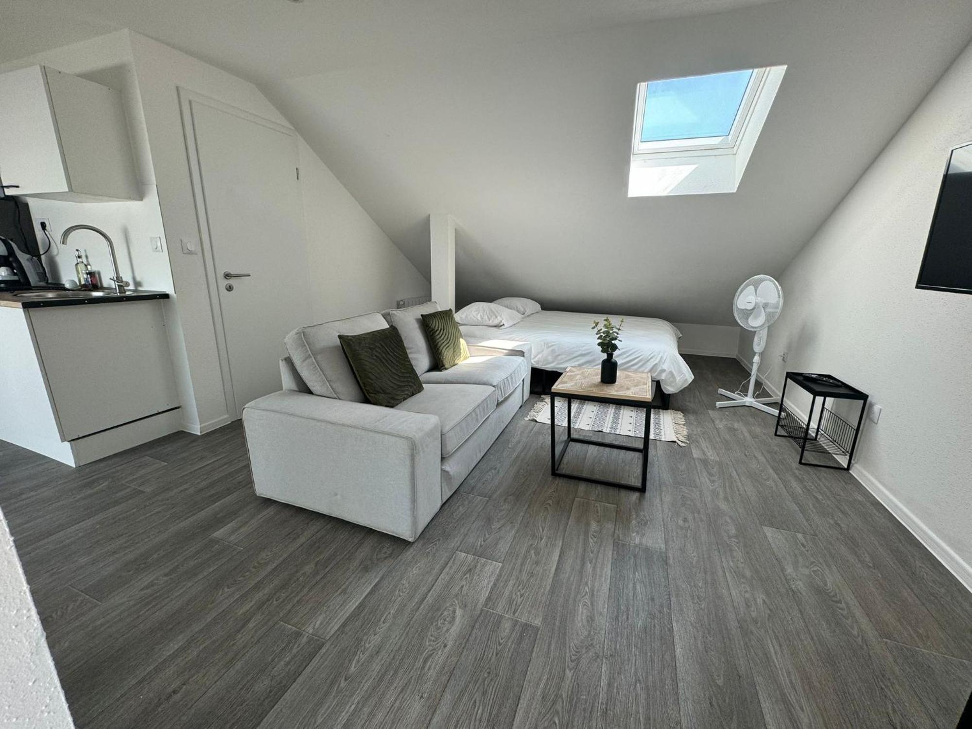 Studio Eucalyptus Charmant Elegant Et Fonctionnel Centre Ville Mulhouse Exterior foto